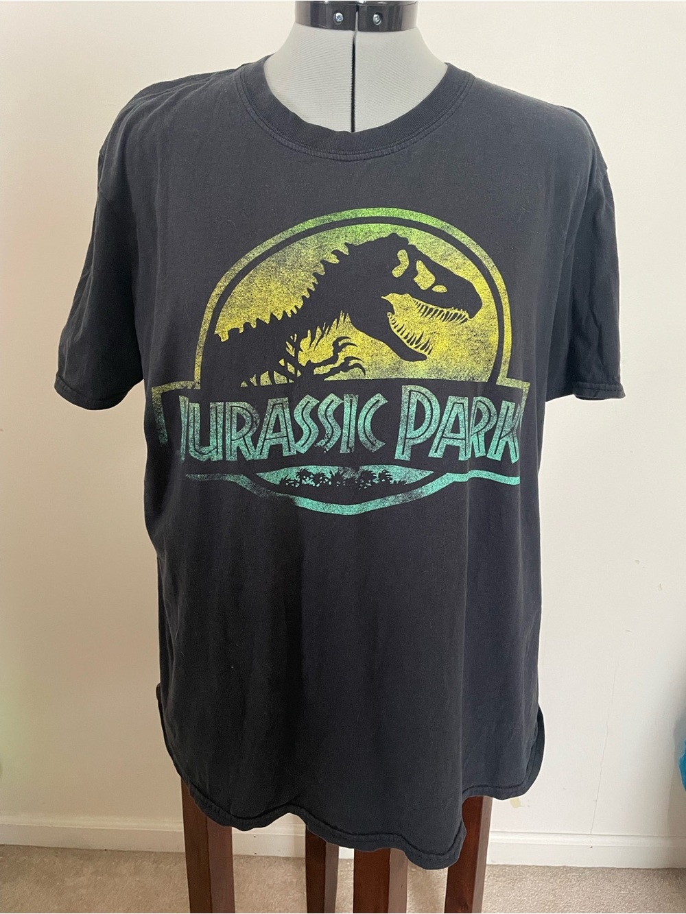 Jurassic Park Black Graphic T-Shirt - Large